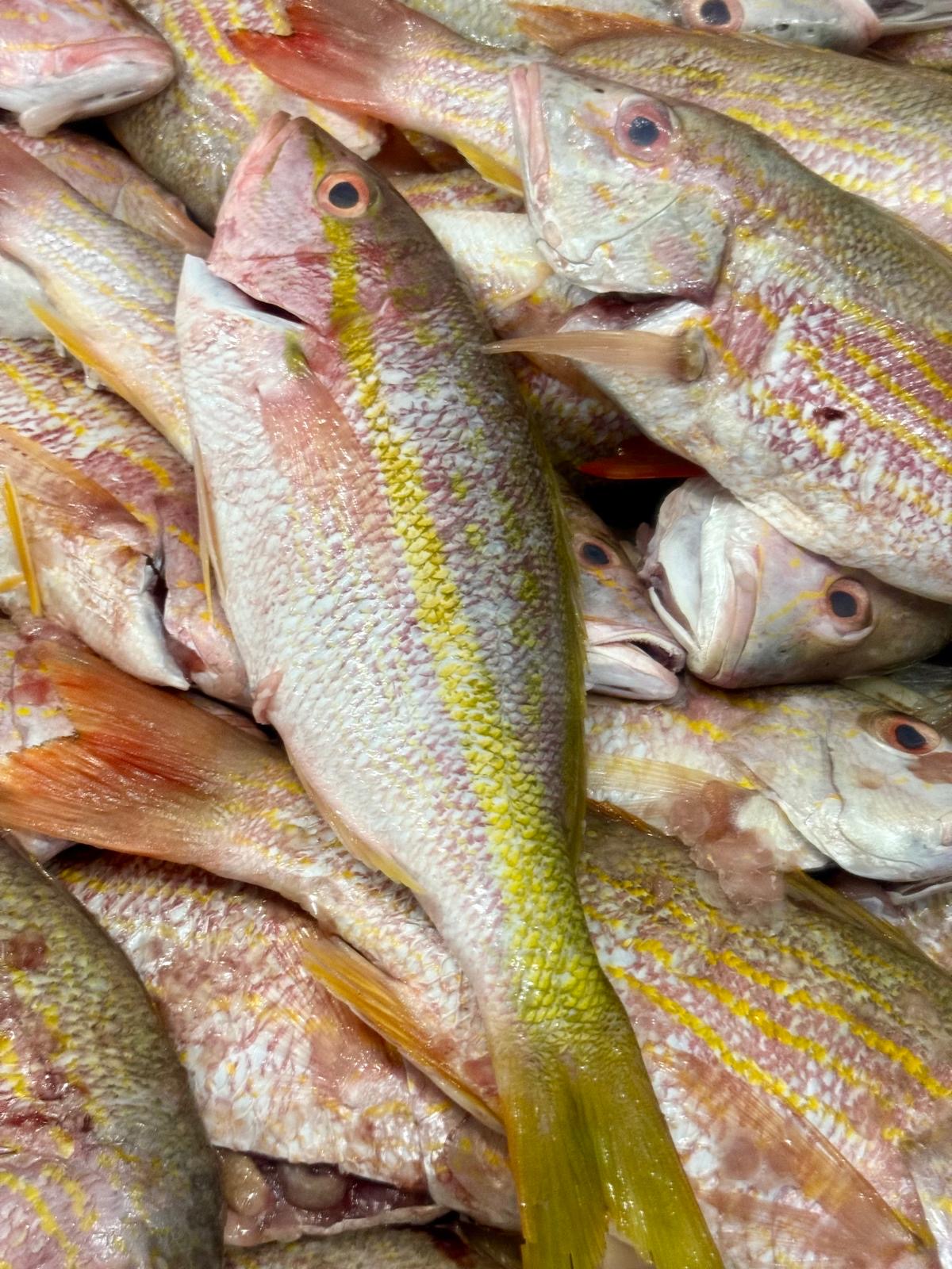 Fresh yellowtail snapper at the Heritage Seafood market