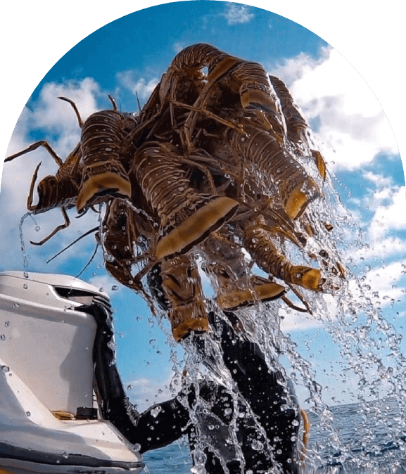 Close-up of a brown crab being held above water with blue sky background.
