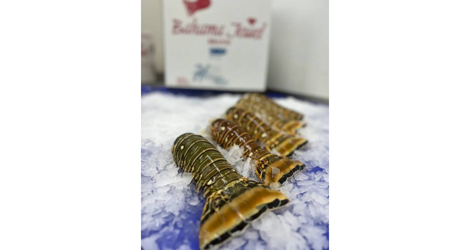 Close-up of golden, intricately designed bangles on a patterned cloth.