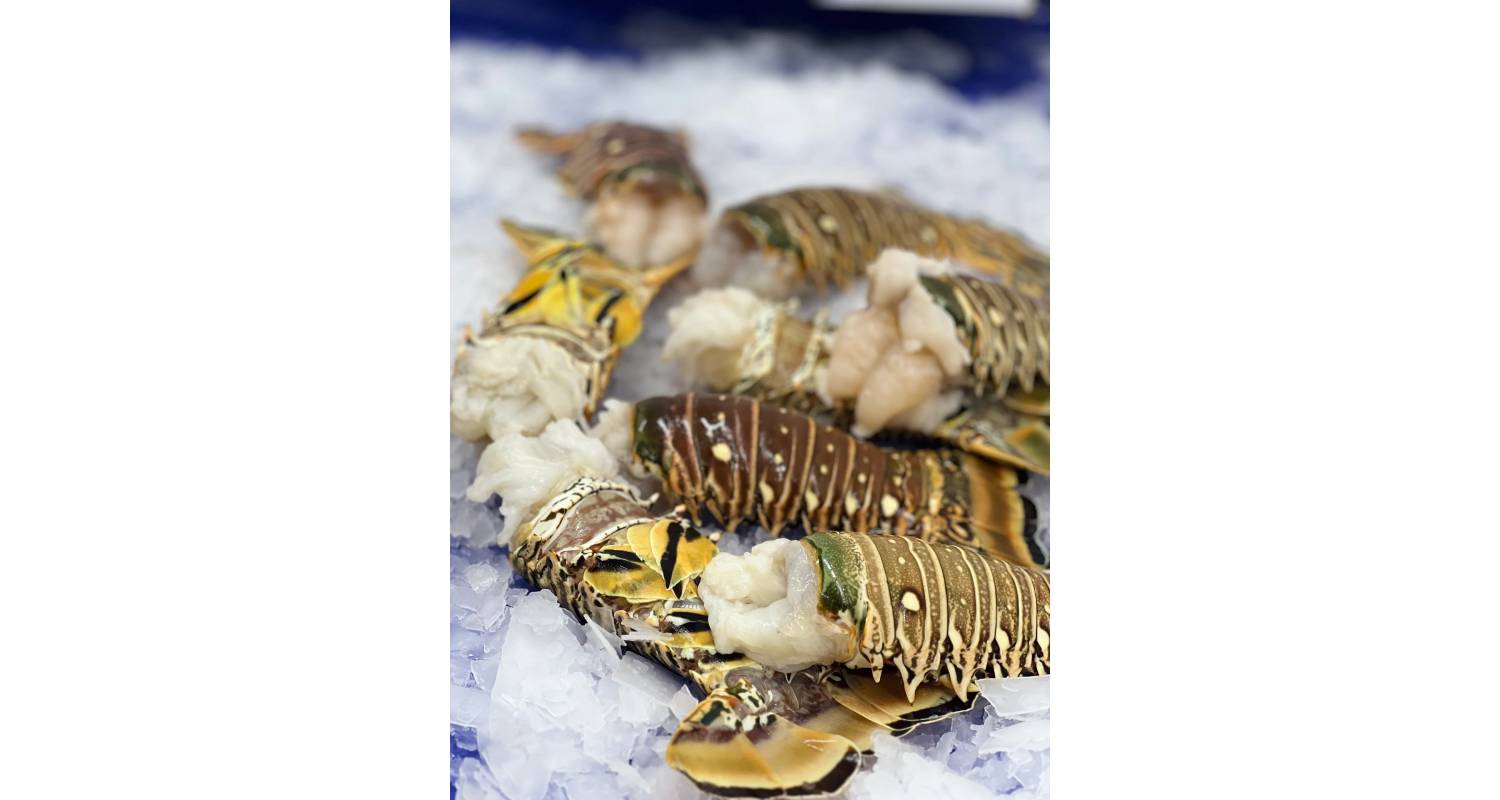 Fresh seafood including lobsters and crabs on ice at a market.