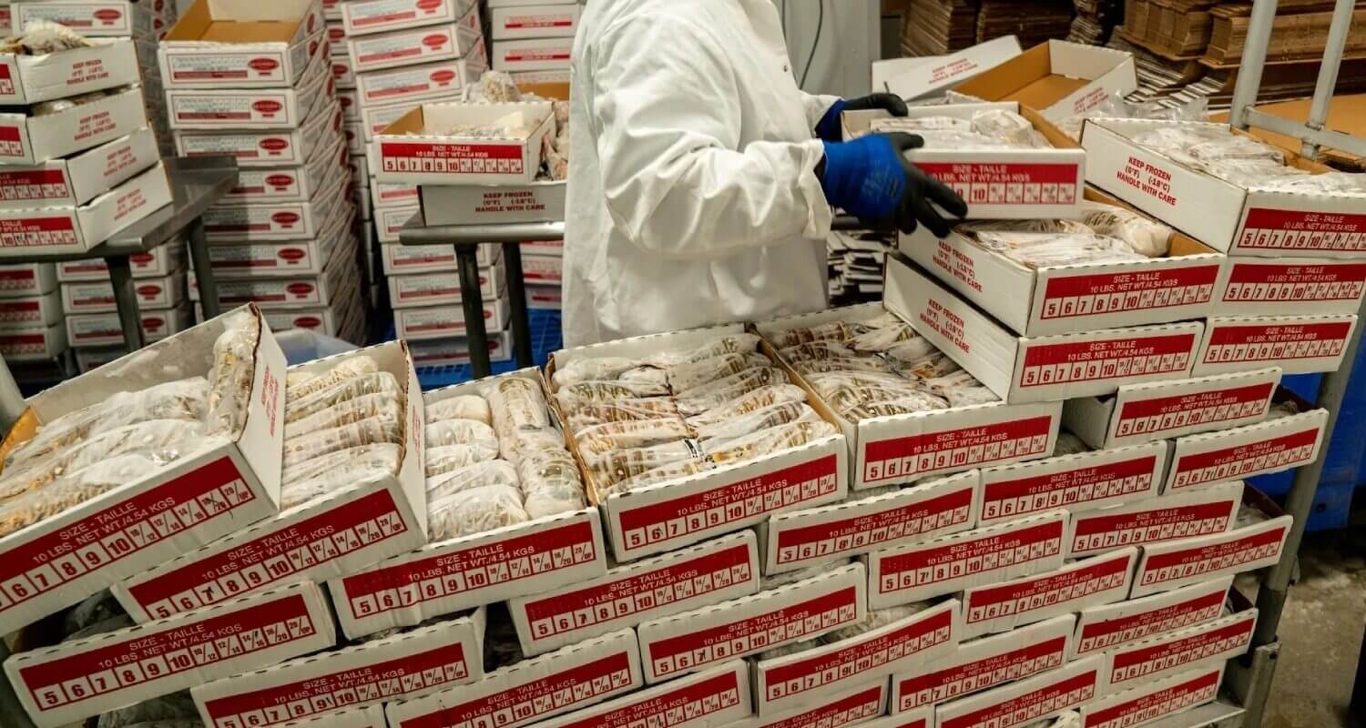 Worker packing food products in a factory setting.