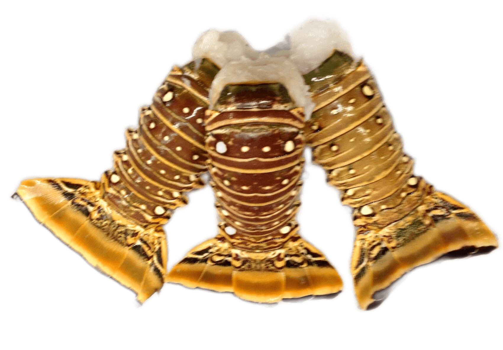Three cooked lobsters arranged together on a white background.
