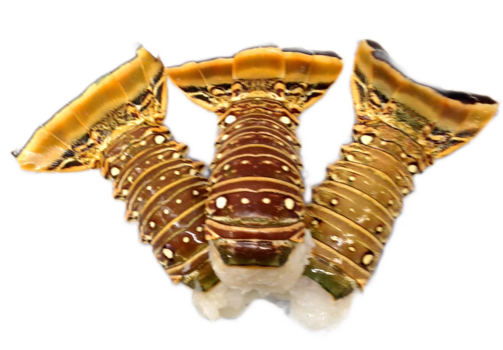Three cooked lobsters arranged together on a white background.