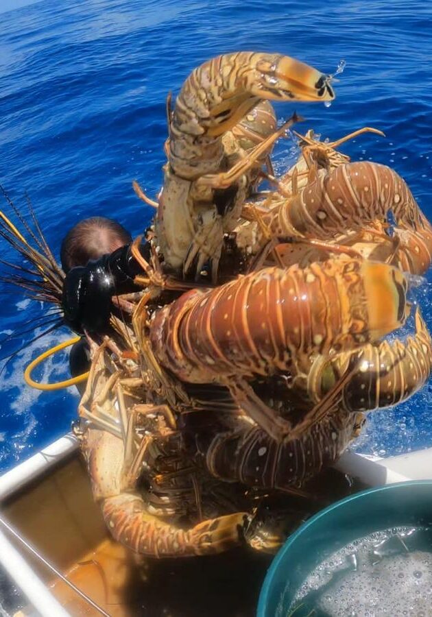 Fisherman proudly holding a large lobster on a boat.